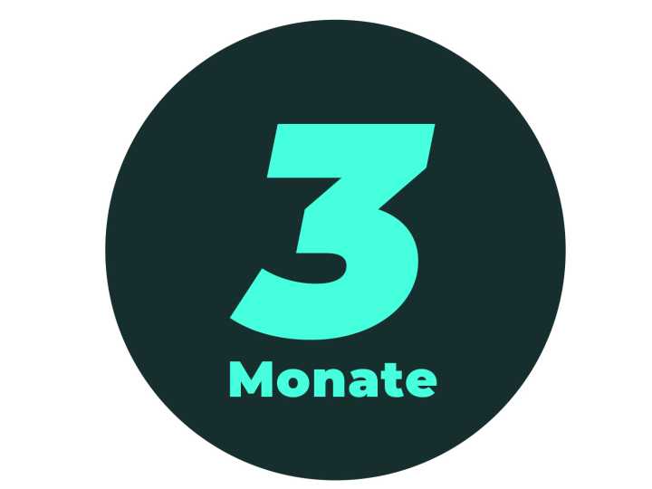 Icon 3 Monate.