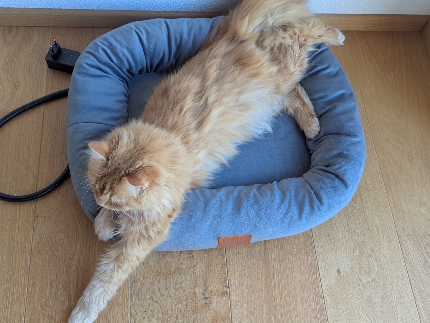 Katze entspannt im Wärmebett Kira Eine helle Langhaarkatze liegt entspannt im Wärmebett Kira auf einem Holzboden