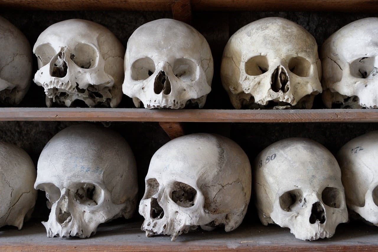 Skulls on shelves Skulls on shelves