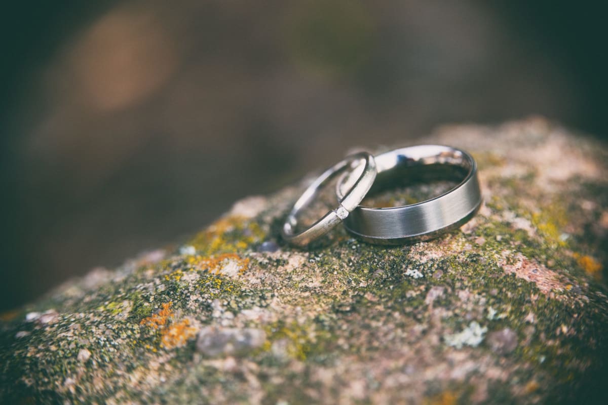 Wedding rings on a log