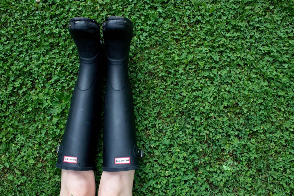 Wellington boots or wellington burts