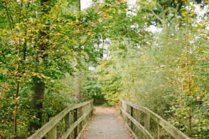 GreenAcres Natural Burial Ground