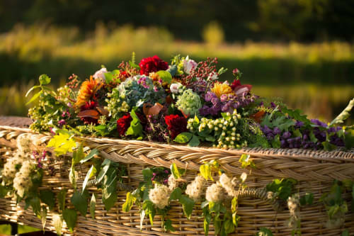 A wicker coffin with coffin spray created by Dandelion Farewells