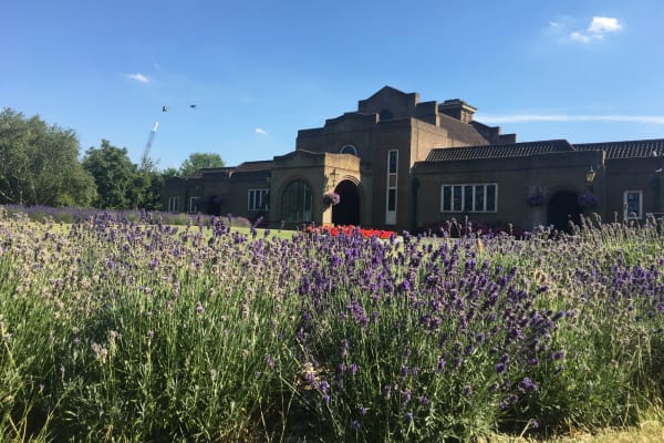 mortlake crematorium