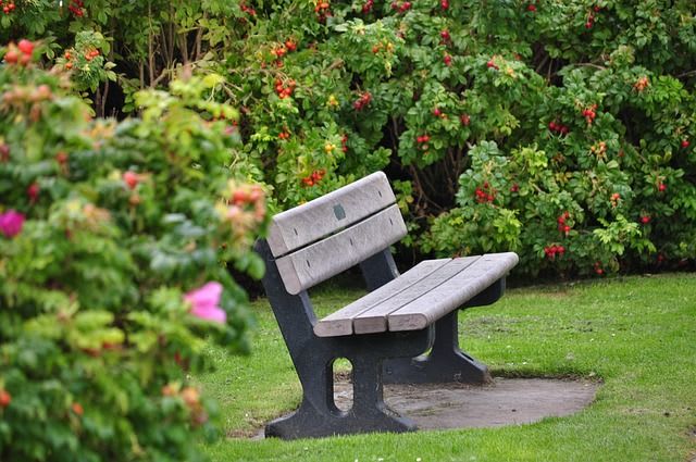 memorial bench