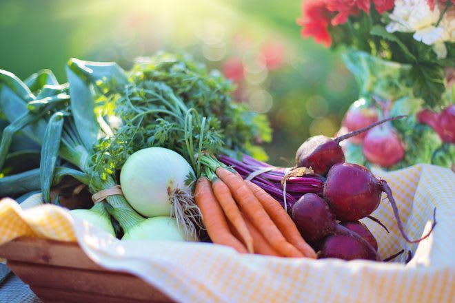 grow your own vegetables when you retire