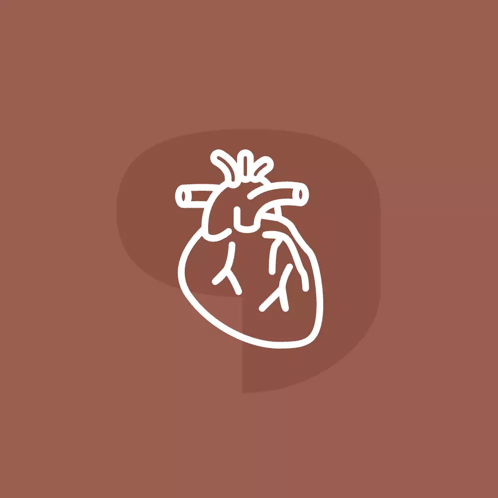 Bioprinting, Organ Printing and Transplantation