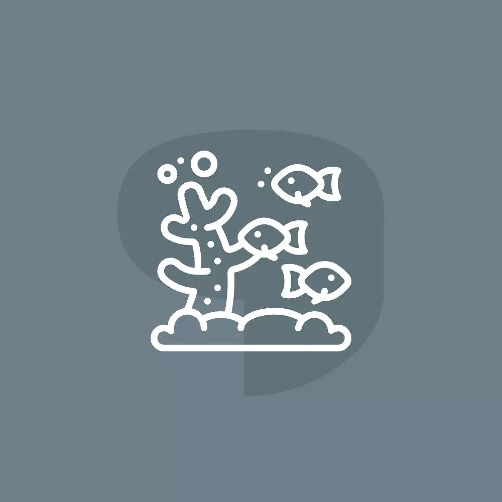 Coral Reef Restoration