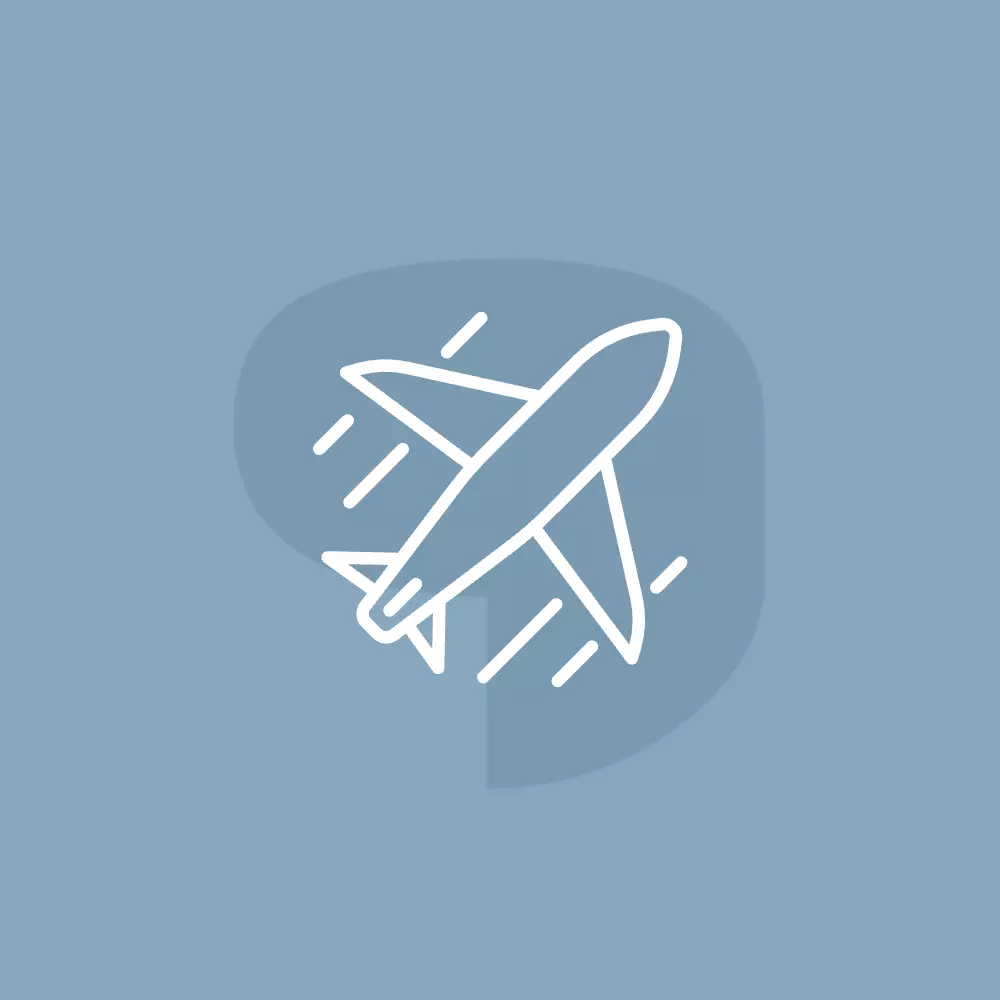 Electric Airplanes and Electric Aviation