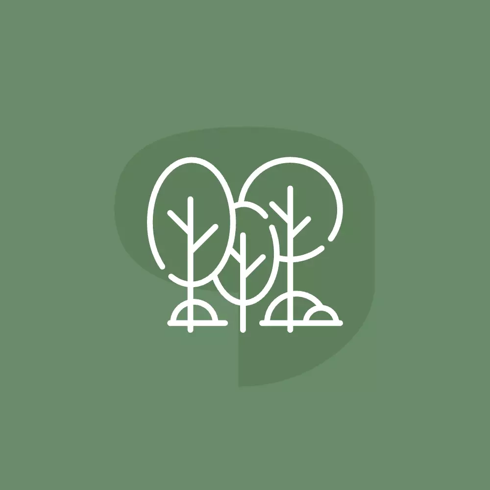 Global Greening and Forestation