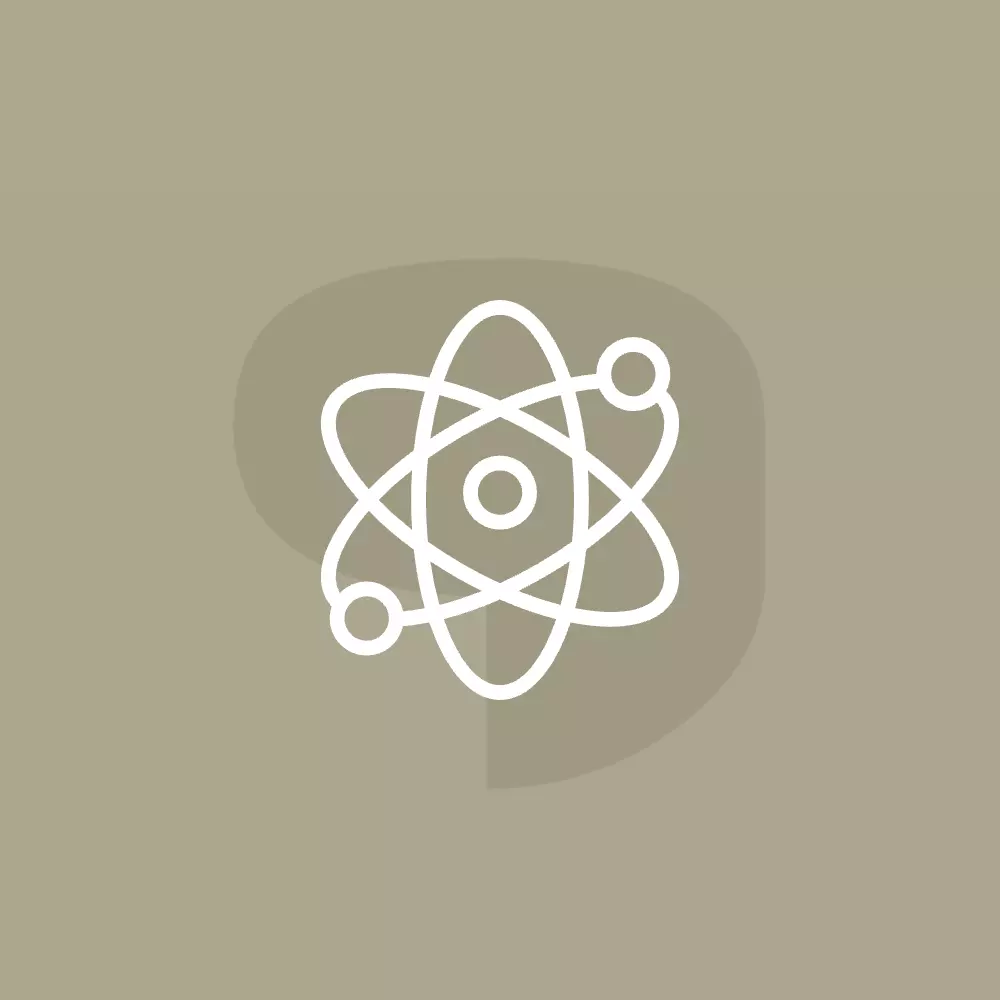 Small Modular Reactors