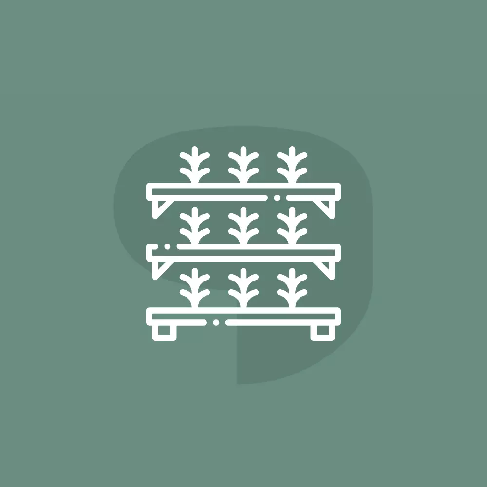 Vertical Farming