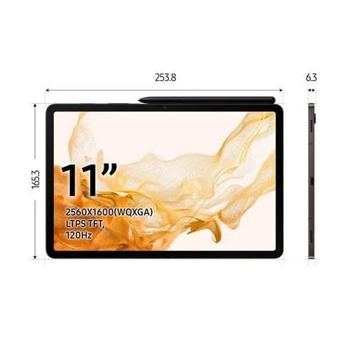 Samsung Galaxy Tab S8 128 Go Wi-Fi — vue 2