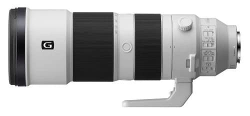 Sony FE 200-600 mm f/5.6-6.3 G OSS — Super-télé animalier — vue 2