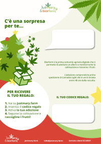 letter gift xmas