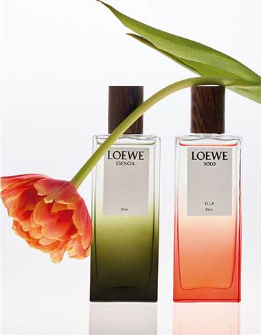 The Best of Beauty - Loewe Beauty