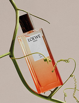 Loewe - 