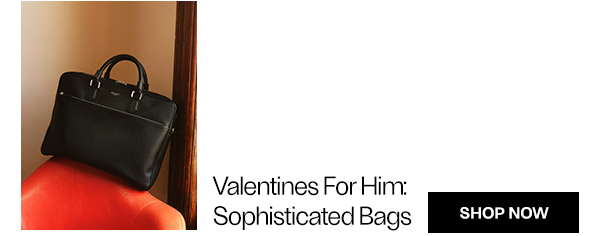Valentines For Him: Sophisticated Bags - Shop Now