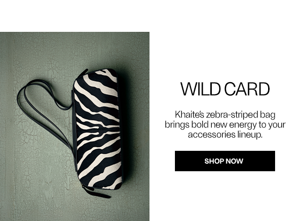 WILD CARD - Khaite's zebra-striped bag brings bold new energy to your accessories lineup. - Shop Now