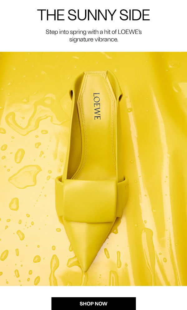 Loewe - Pebble Soft Leather Ballerina Flats