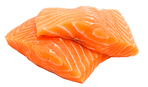 Salmon