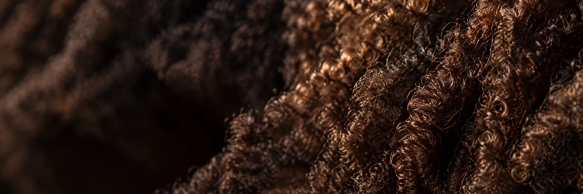 Extreme close-up of natural 4C textured hair, coils catching warm copper light