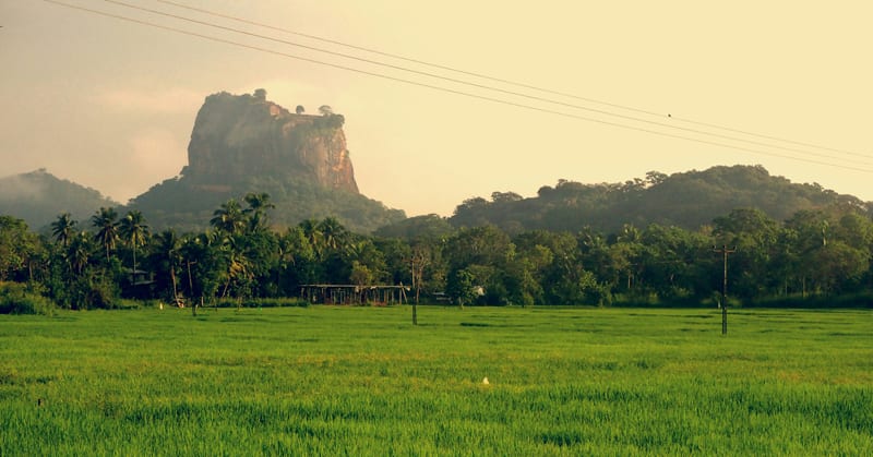 PEAK SEASON ☀️  Cheap flights from London to Sri Lanka for £442