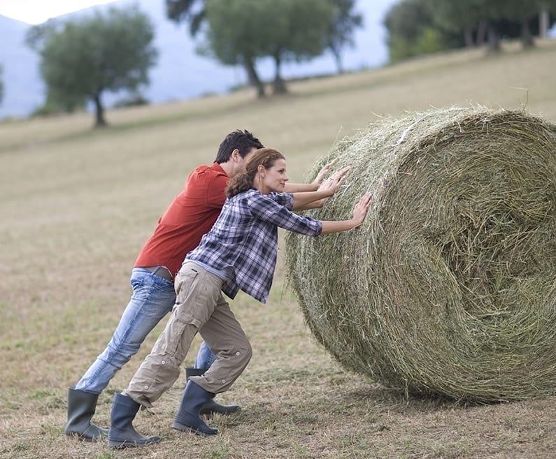 namena kredita za poljoprivredu ulaganje u repromaterijal farmer obrt