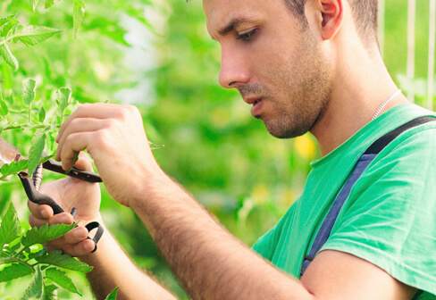 agroprotekt kredit za farmere poljoprivredu sa besplatnim osiguranjem