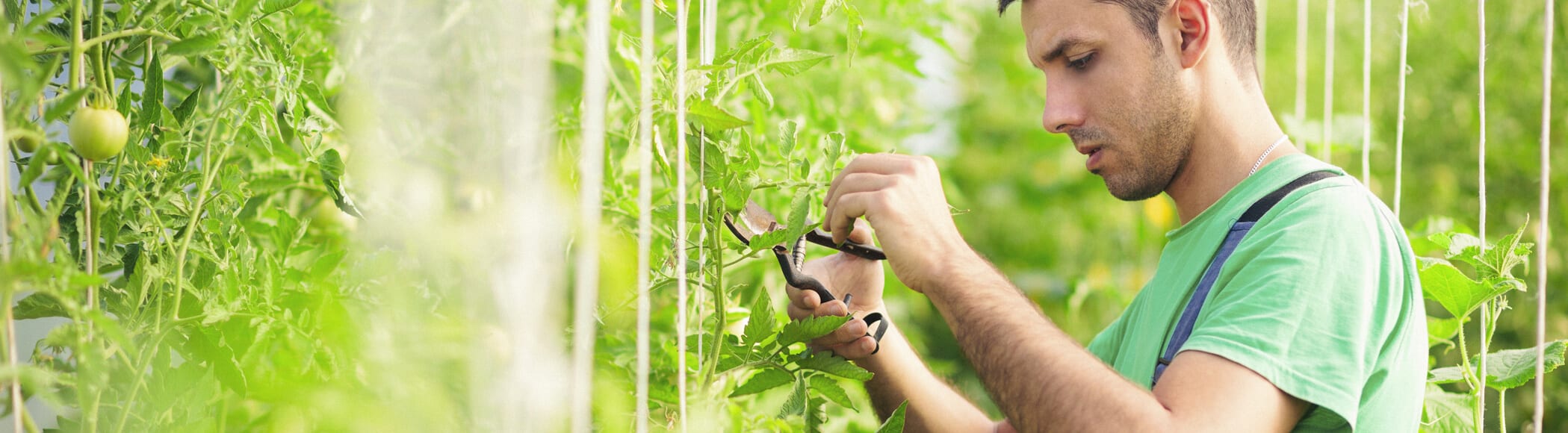 intesa farmer obrtna sredstva nabavka poljoprivreda