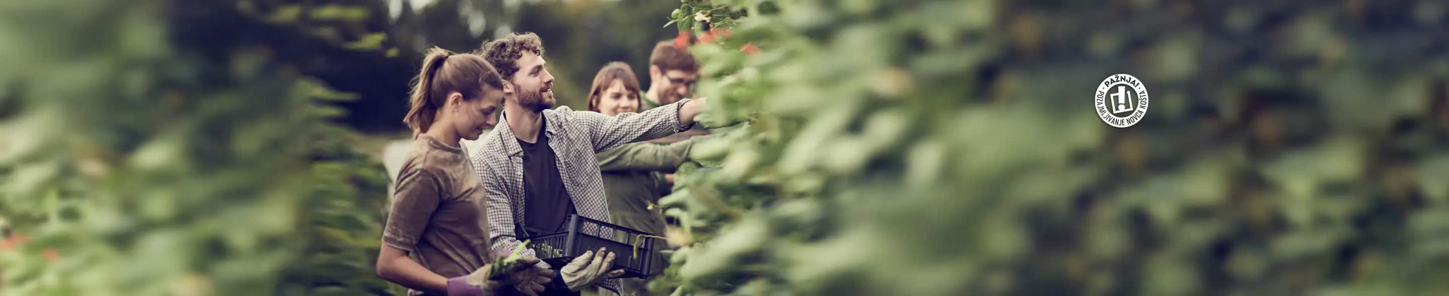 farmer invest banca intesa loans agriculture