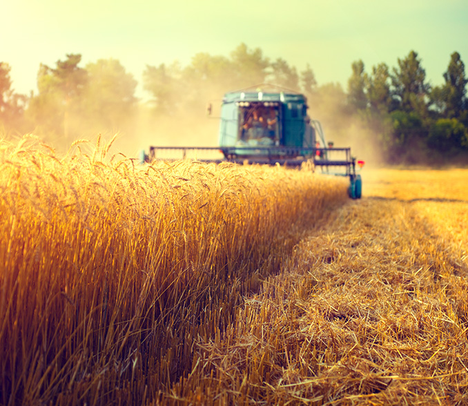 intesa farmer working capital loans
