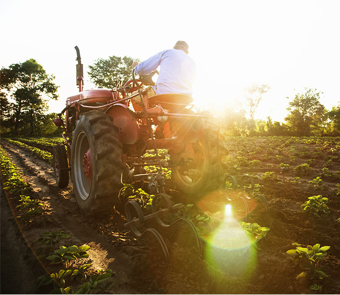 Farmer Hit current account