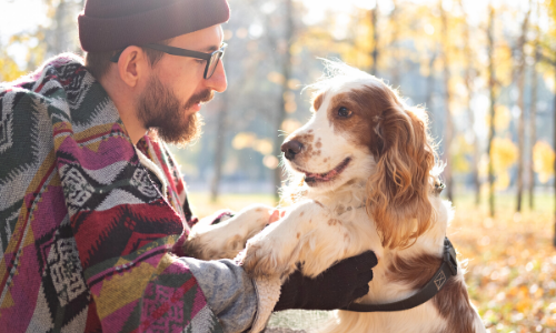 Les vacances sont terminées ! Le syndrome post-vacances touche-t-il nos animaux de compagnie ?