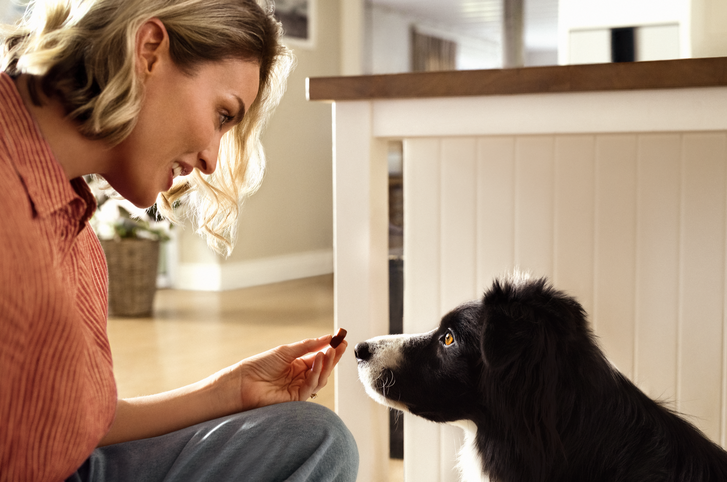 vlooien en teken hond tablet 