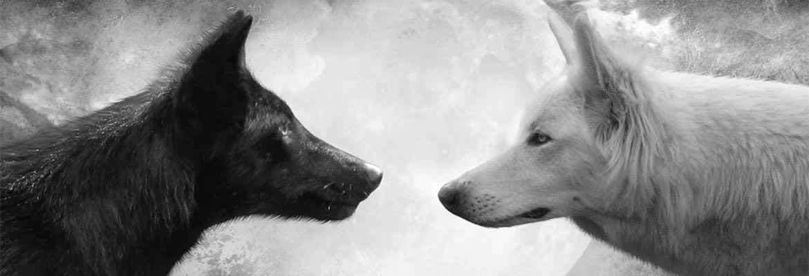 The Magnificent Story of Two Wolves | 1 Inspirational Short Story