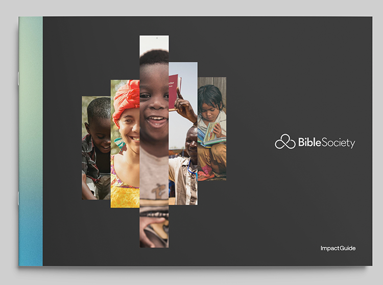 bsa-the-bible-where-needed-most-impact-guide-hero.png