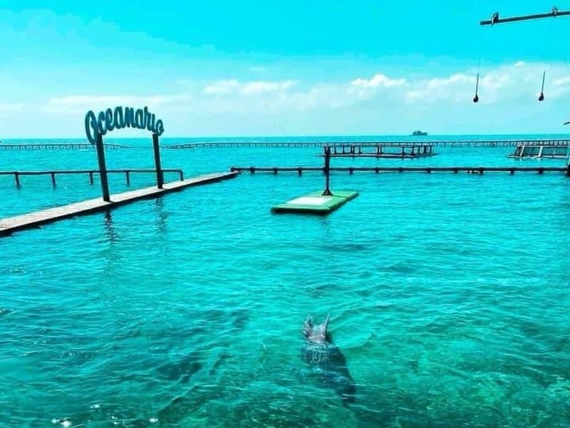 Tour 5 Islas Premium VIP