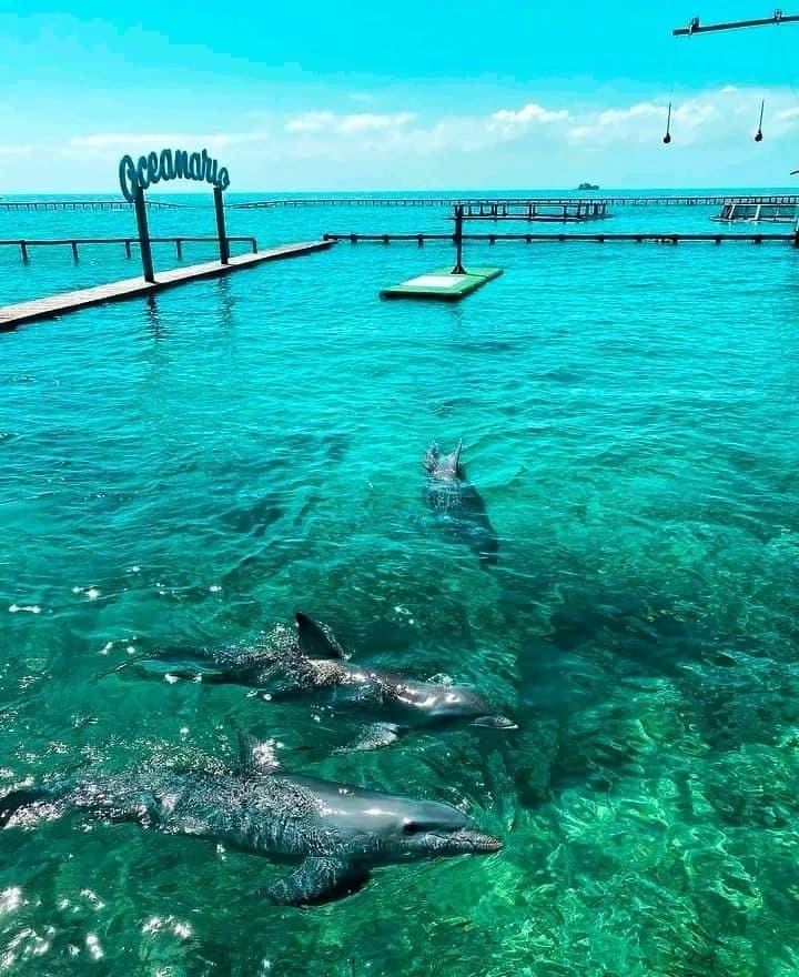 Tour 5 Islas Premium VIP