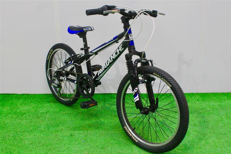 avalanche 20 inch bike