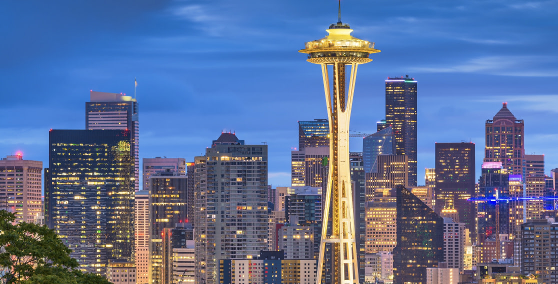 Emerald City Surprise childsupportauction Bid Now ☑