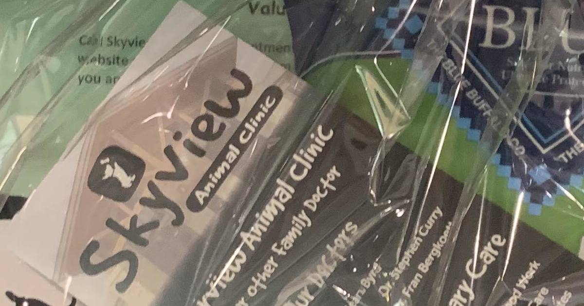 Skyview Animal Clinic Pet Basket semotrivia22 Bid Now