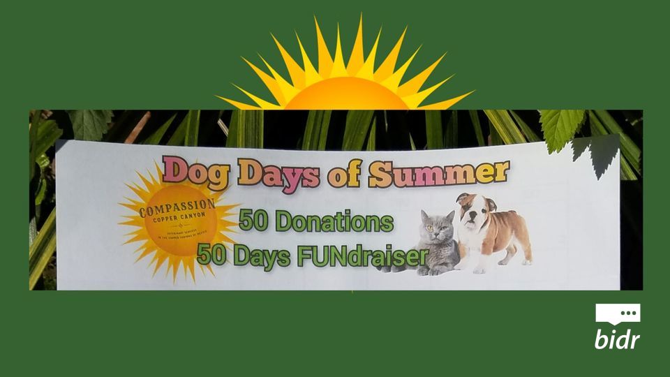 The Dog Days of Summer, by Nationals Communications