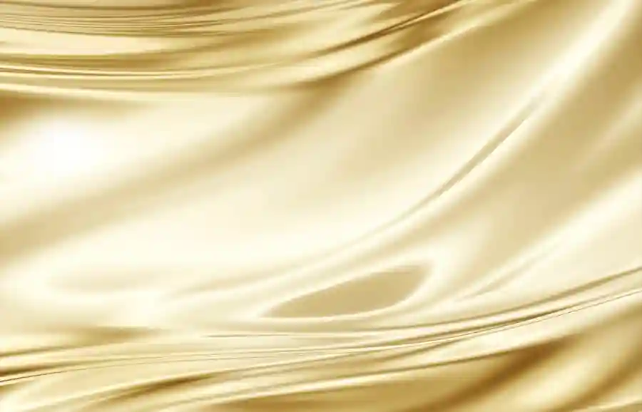 2025 GFC Online Auction