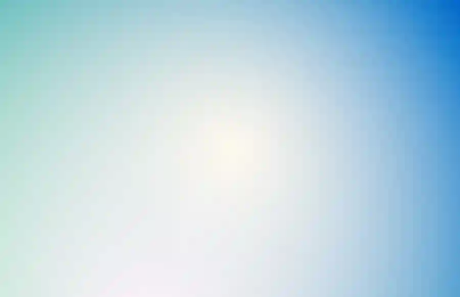 Mitzvot Auction 2024