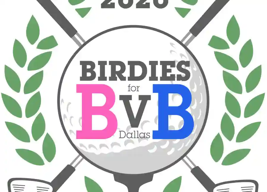 2020 Birdies for BvB Silent Auction
