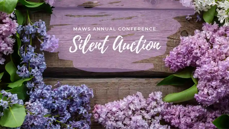 broken MAWS Conference 2019