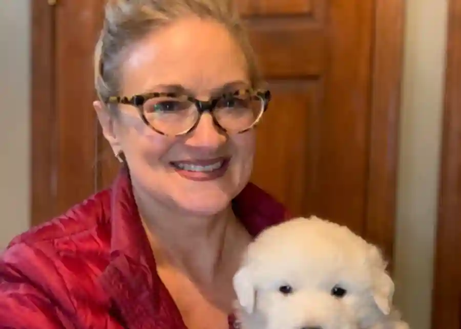 Pre Auction Auction Testing