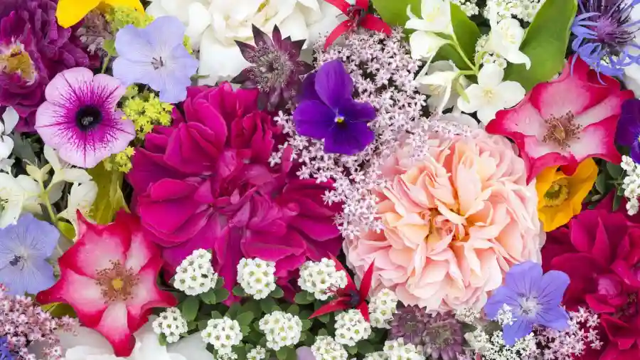 Flowers for a Year! Silent Auction