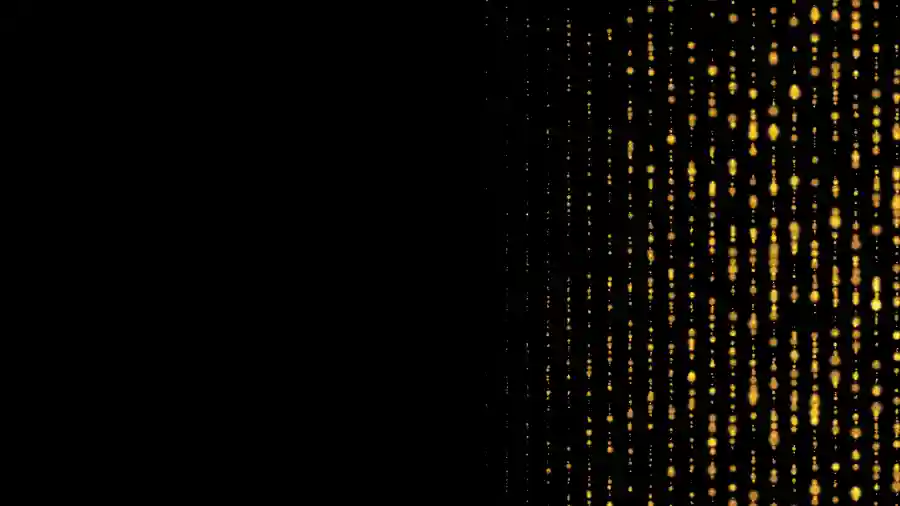 Marian Catholic High School's Veritas V